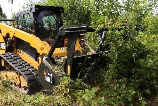 Tree Removal